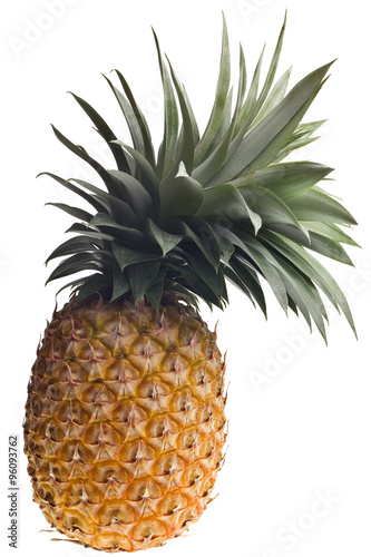 fresh Florida pineapple isolated on white