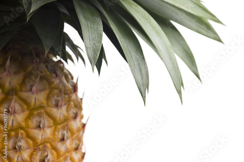 fresh Florida pineapple isolated on white