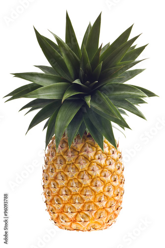 fresh Florida pineapple isolated on white