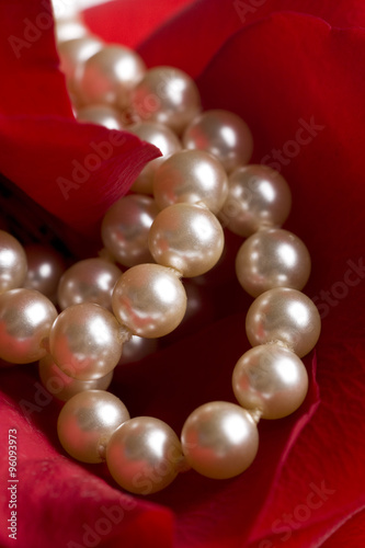 red rose closeup background with pearls
