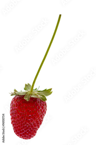 red strawberries