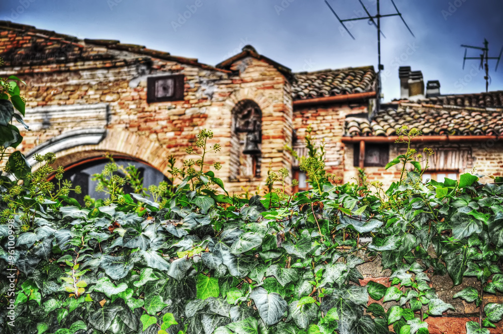 Obraz premium ivy leaves with old buildings on the background