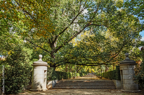 Madrid, Real Jardín Botánico, Paseo del Prado photo