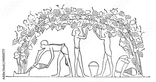 Arbor arranged cradle, vintage engraving.