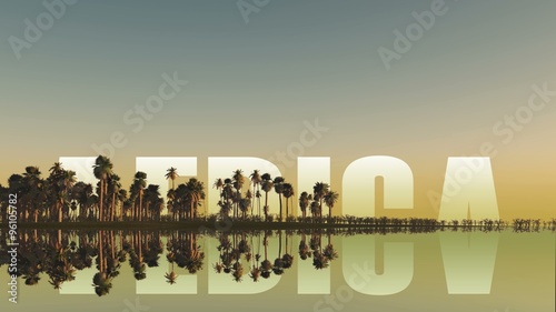 africa inscription behind palm trees