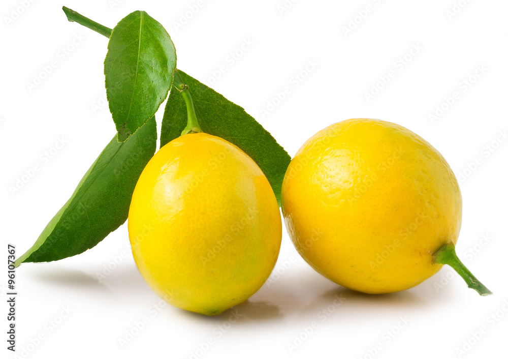 fresh lemons with green leaves isolated on white background