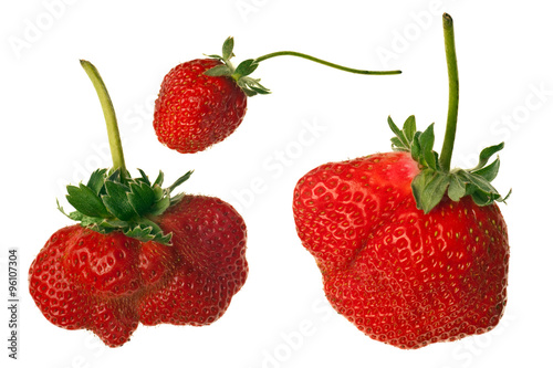 ripe red strawberries