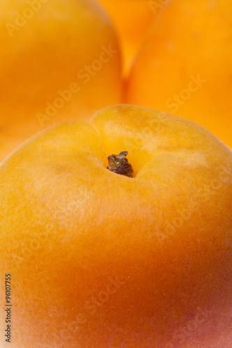 apricot