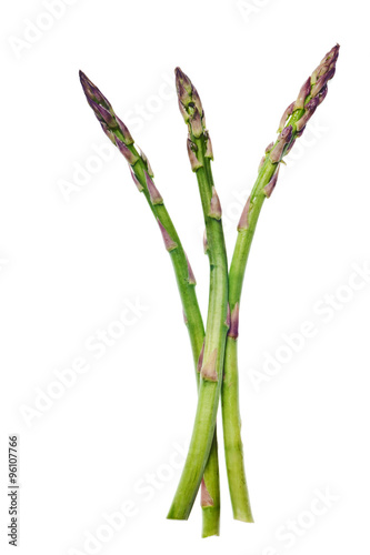 asparagus isolated