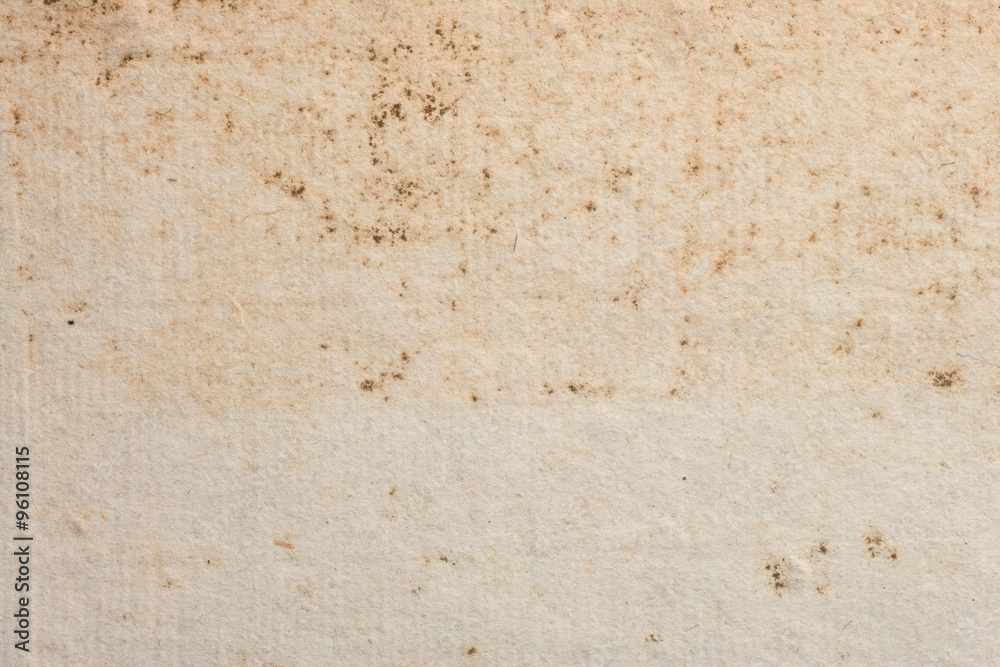Antique Book blank page from 1700's Antique Book blank page from 1700's