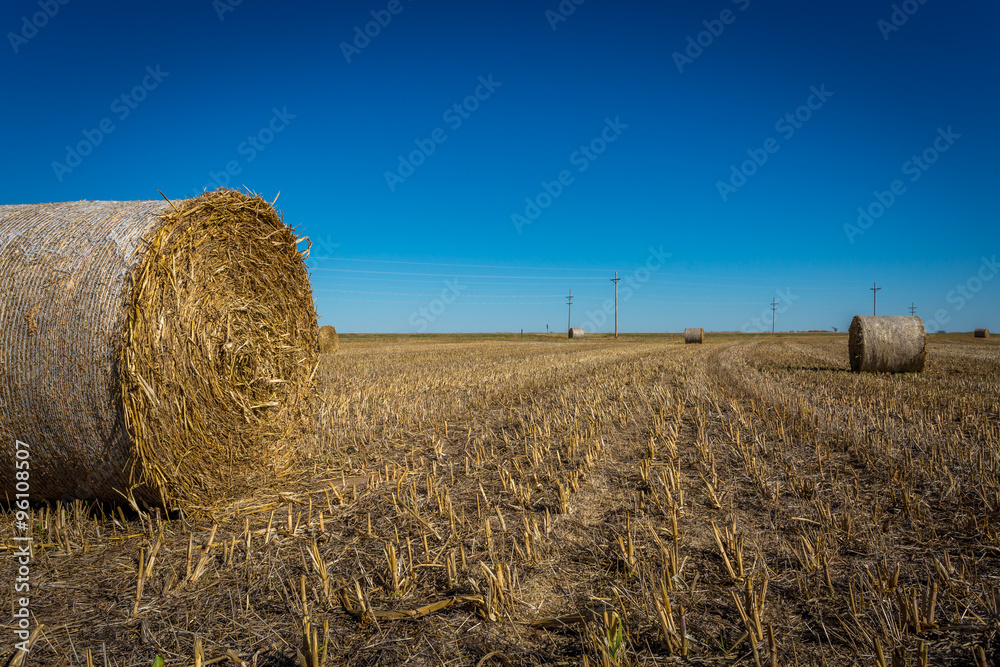 Midwest farming