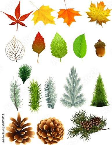 Design elements