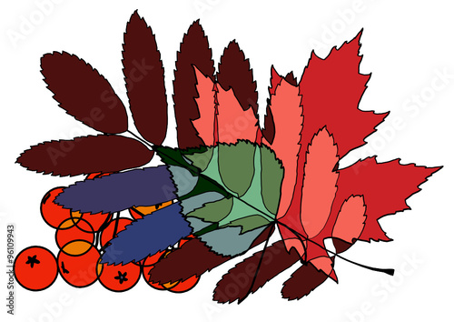Autumn leaves