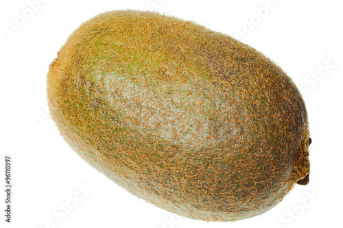 kiwi isolated