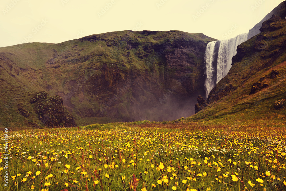 Fototapeta premium Waterfall in Iceland
