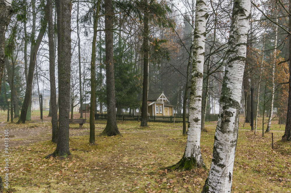 Late autumn. Park of museum-reserve Muranovo. Moscow region, Russia
Late autumn. Park of museum-reserve Muranovo. Moscow region, Russia