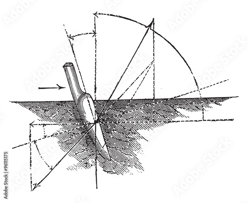 Coulter has a tendency to sprout, vintage engraving.