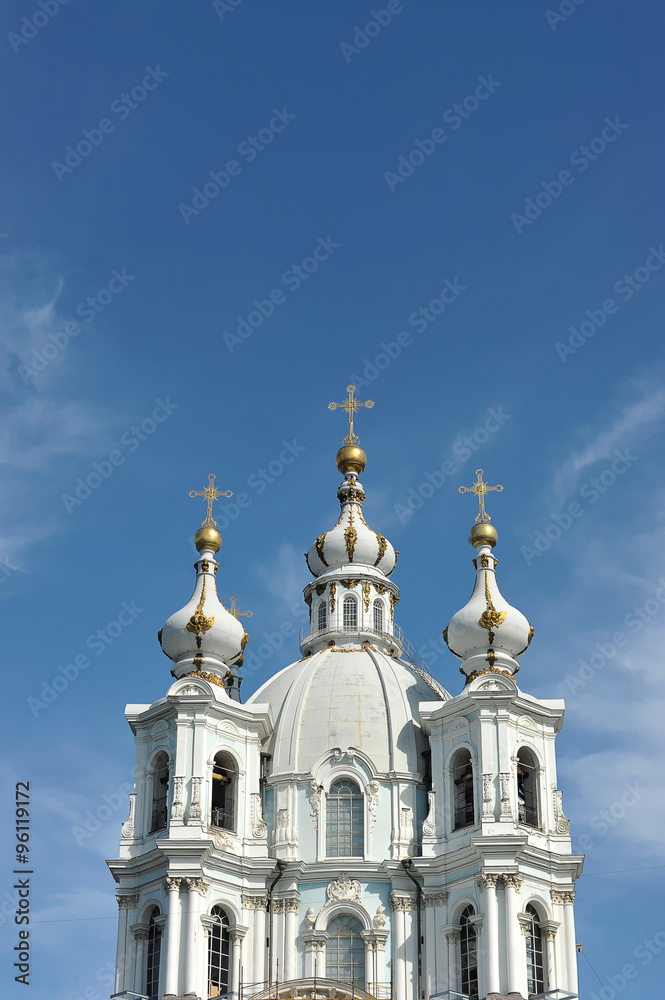 ST. PETERSBURG, RUSSIA - AUGUST 09, 2015: view of the Smolny Cat