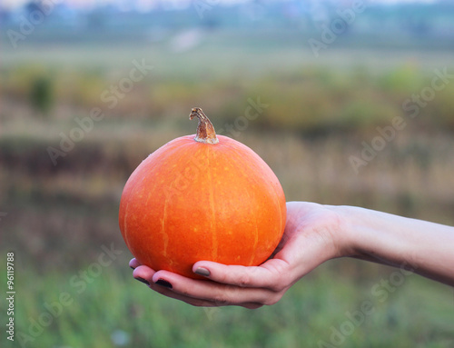 bright pumpkin in hand