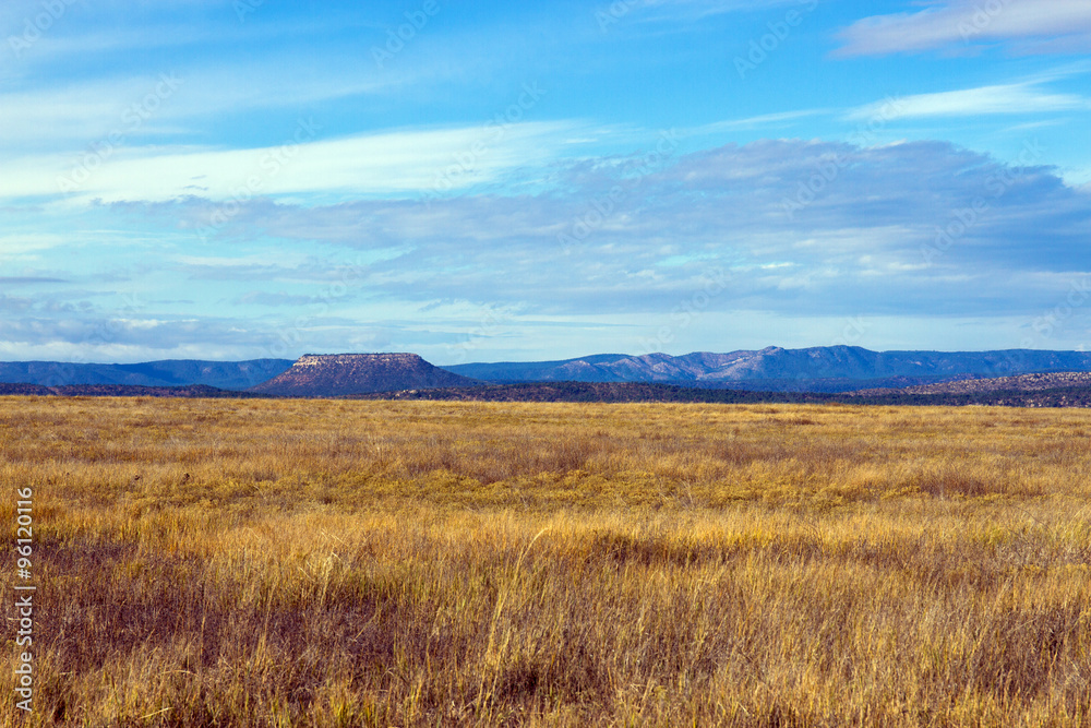 Prairie grasses at Las Vegas National Wildlife Refuge in New Mexico, with Sangre de Cristo Mountains in the distance