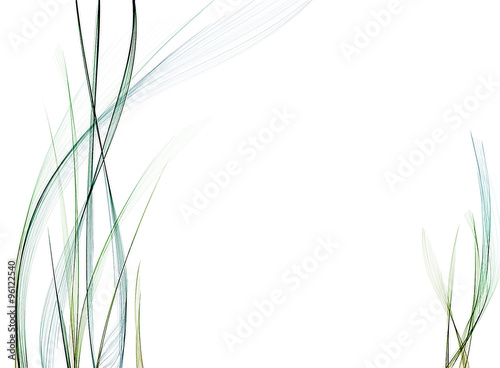 Sedge background. Vector version