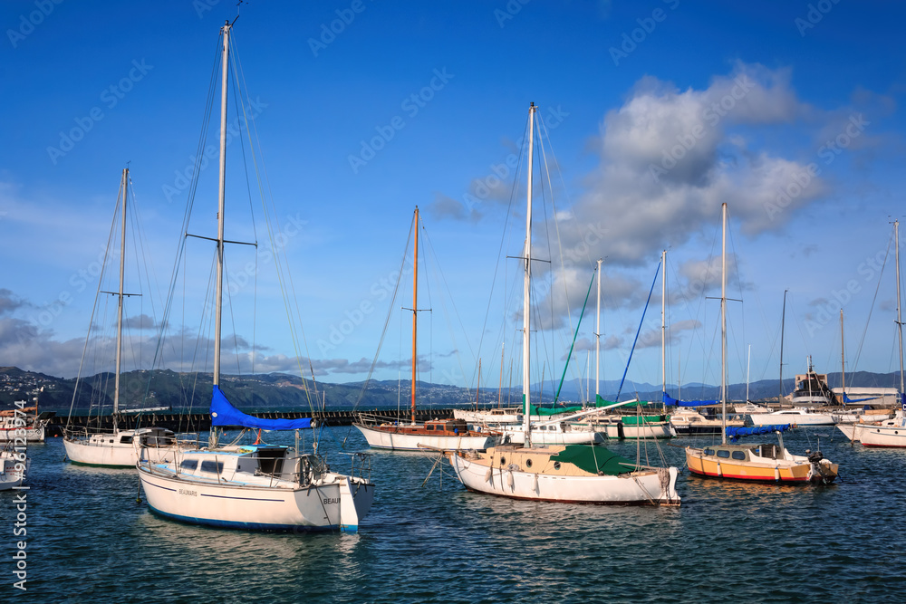 landscape with yachts
