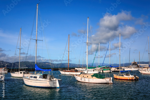 landscape with yachts