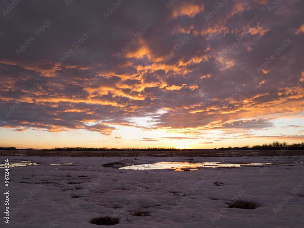 Fototapeta premium Snowy sunset in Alberta, Canada