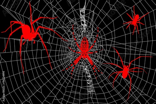 silhouettes spiders and spider web