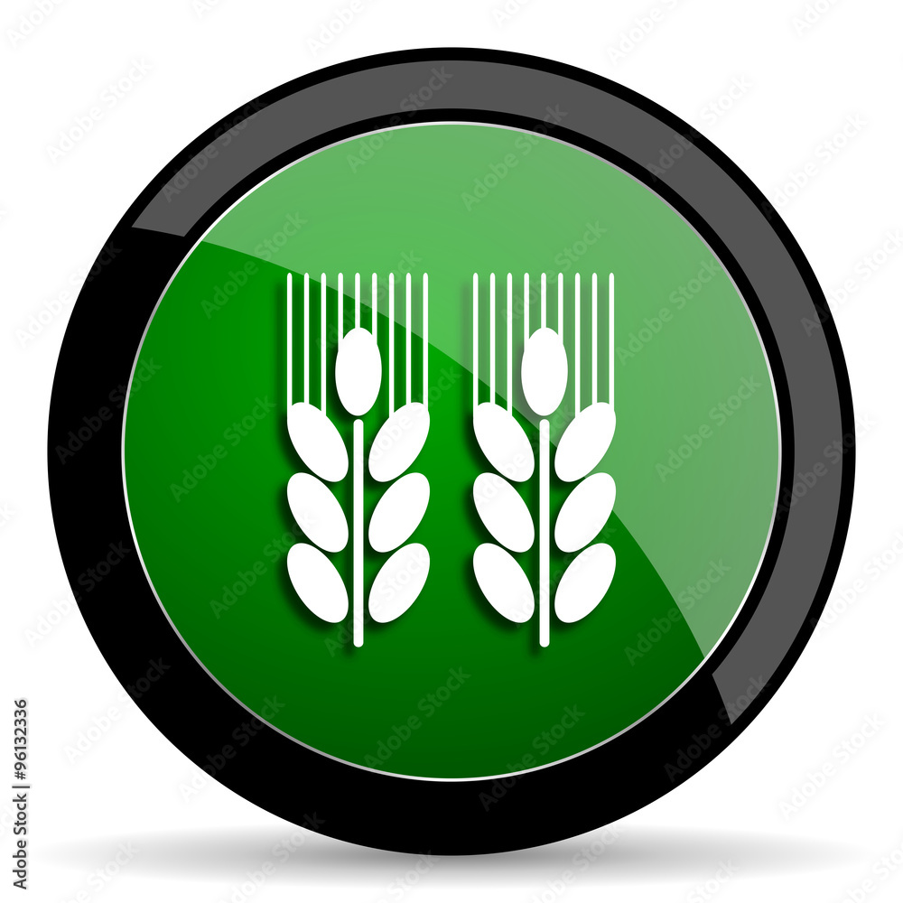 agricultural green web glossy icon with shadow on white background agricultural green web glossy icon with shadow on white background