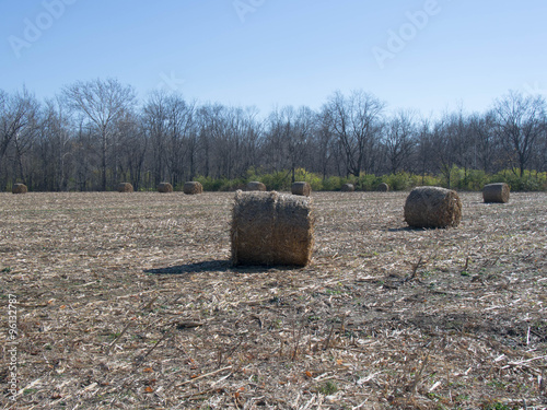 Bails of Hay photo