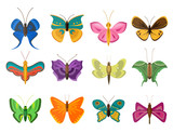 Colorful butterflies flat style vector collection