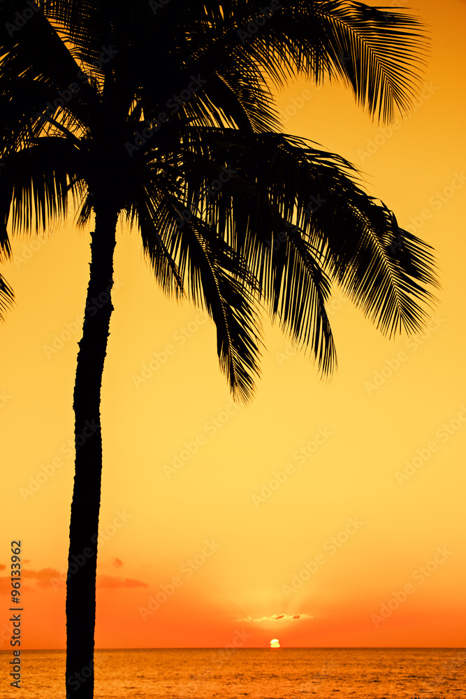 Tropical island sunset with silhouette of palm tree, hot summer day vacation background, golden sky with sun setting over horizon