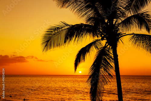Tropical island sunset with silhouette of palm trees  hot summer day vacation background  golden sky with sun setting over horizon