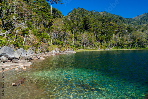 Lago Verde lake in National Park Huerquehue, Chile photo