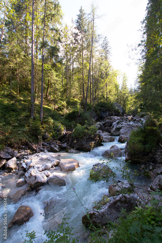 River in a forest River in a forest