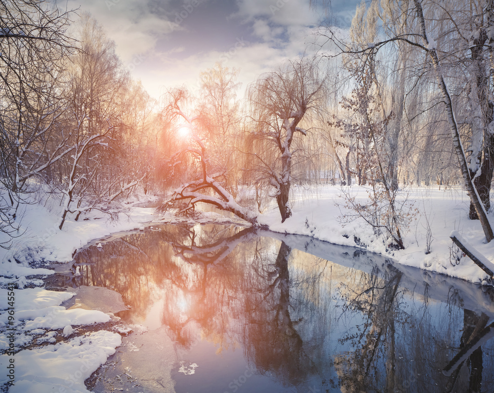 Naklejka premium Beautiful winter landscape in the city park