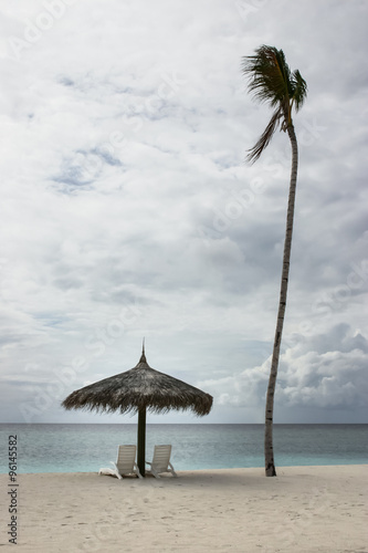 Beach chairs with umbrella and a lonely coconut tree