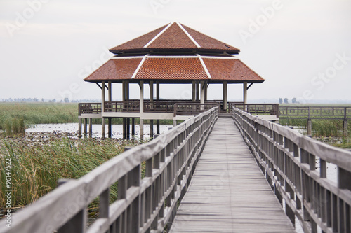 Wooden Bridge in lotus lake at khao sam roi yod national park  thailand