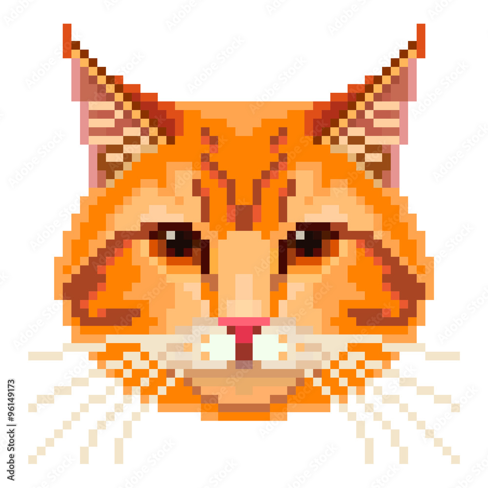 Fototapeta premium Pixel red cat face isolated vector