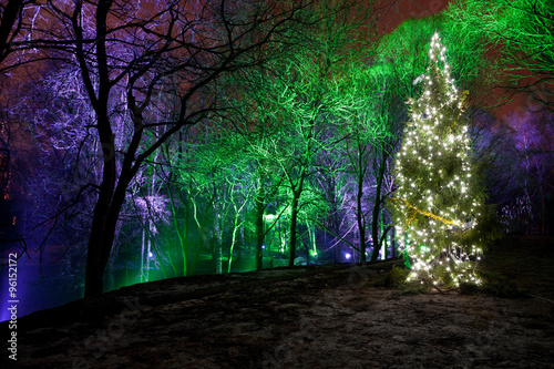 Christmas tree