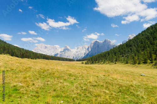 Beautiful alpine panorama