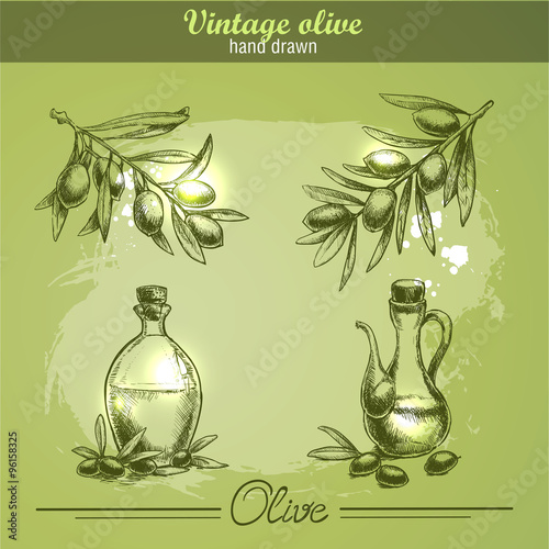 Vintage hand drawn set of olive branch tree and bottle. Sketch style. Watercolor grunge background.