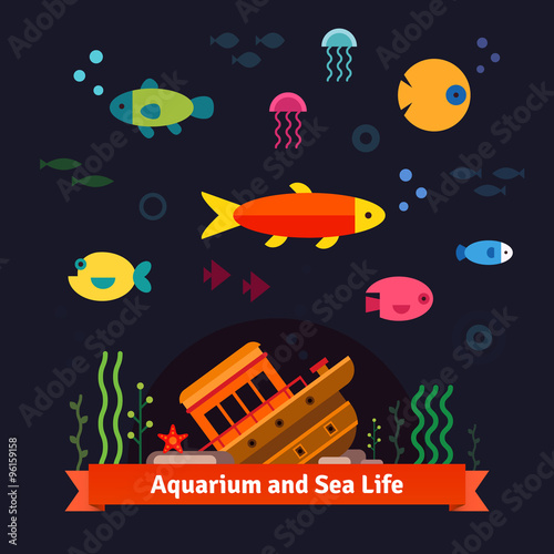 Underwater sea life. Aquarium