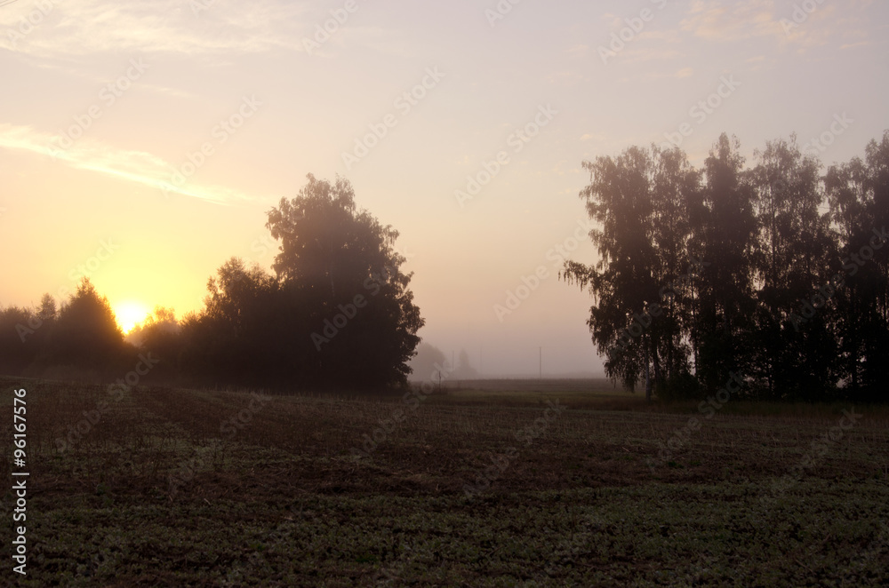 Sun rising through the fog on rural landscape