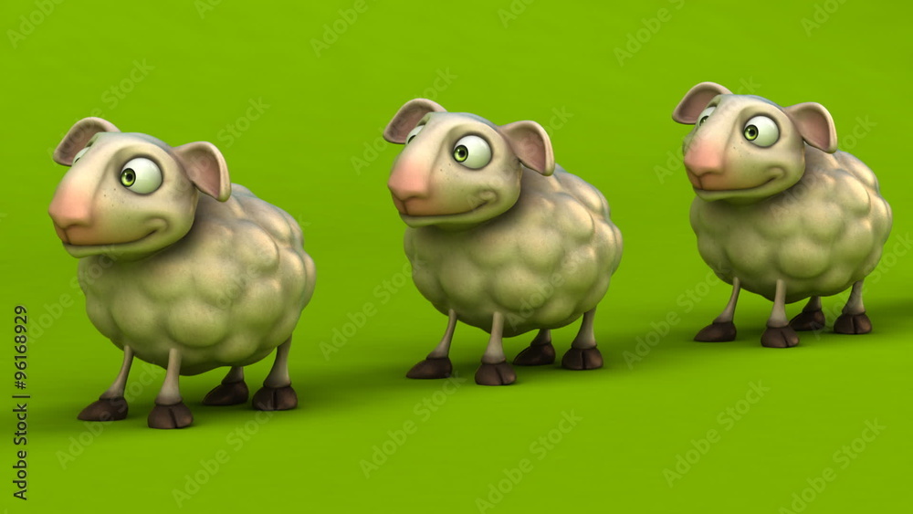 Fun sheep Fun sheep