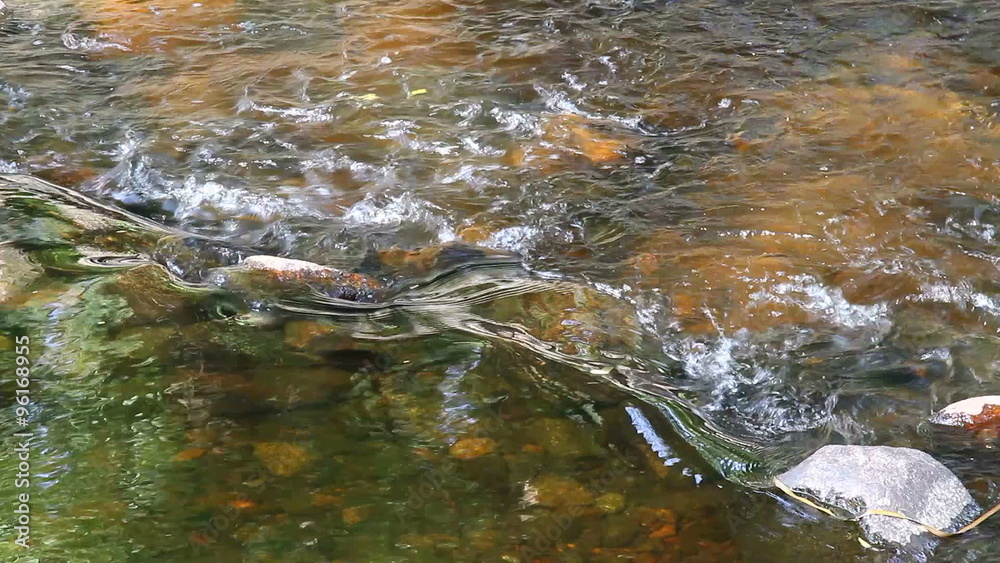Water threshold. The flow of water in the river. Pure forest water. The flow of water in nature. Water threshold. The flow of water in the river. Pure forest water. The flow of water in nature.