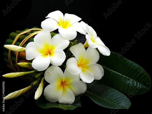 Special white flower in spa 