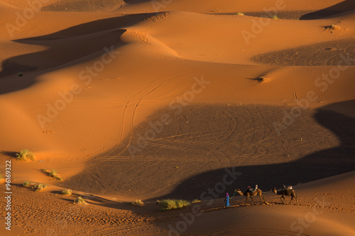 Desert camel caravan with berber in front of caravan