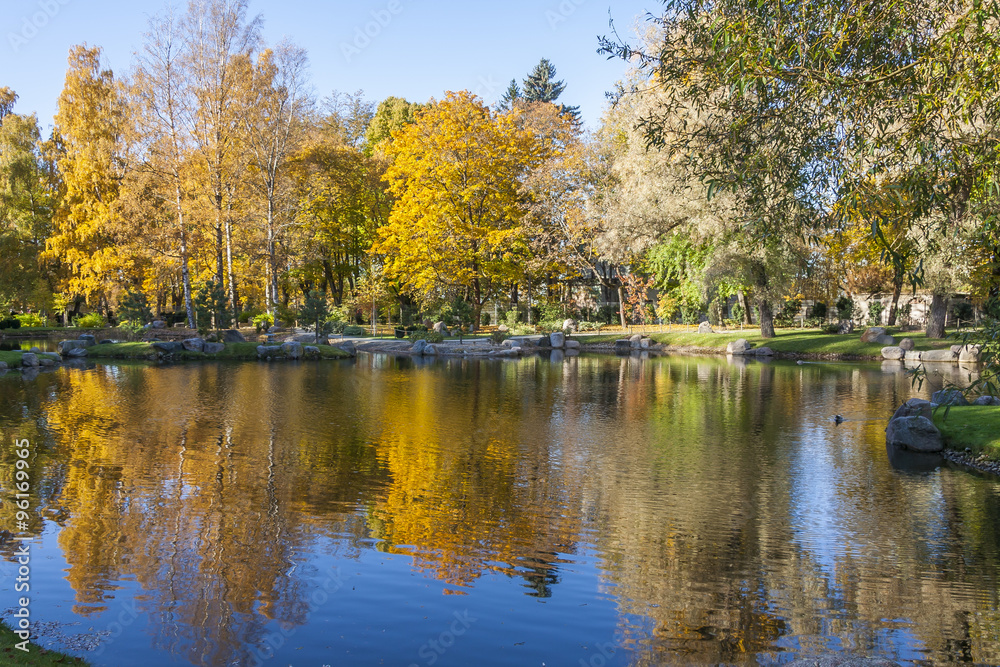 Autumn Reflection On the Pond